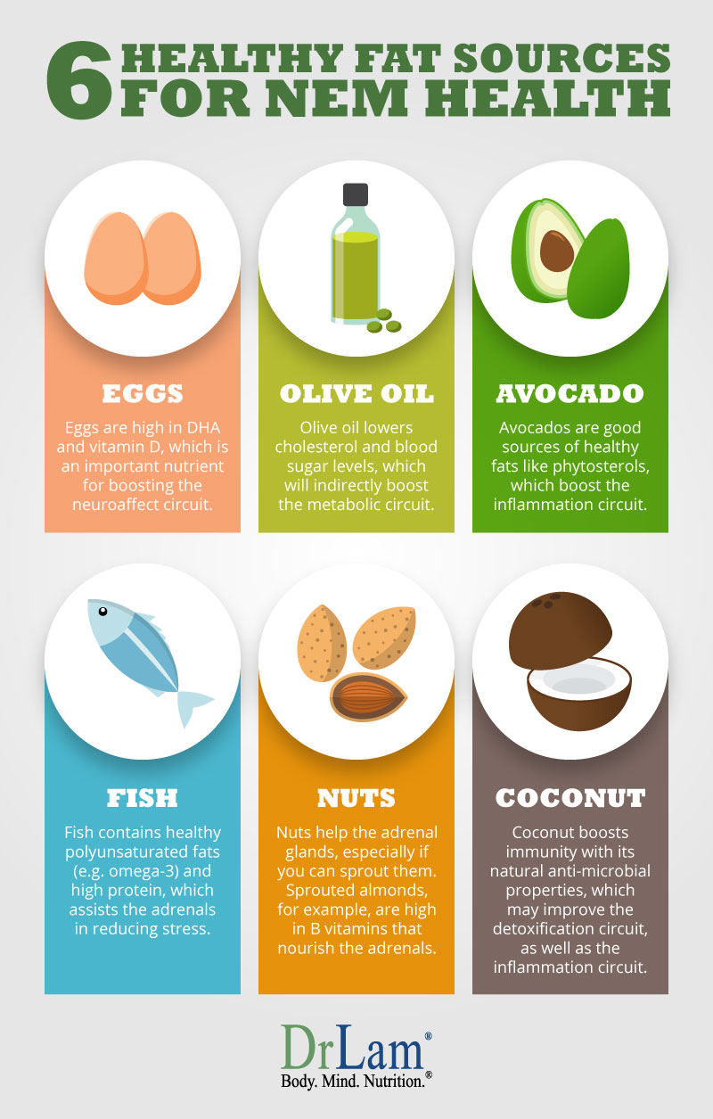 Check out this easy to understand infographic about 6 healthy fat sources for NEM health