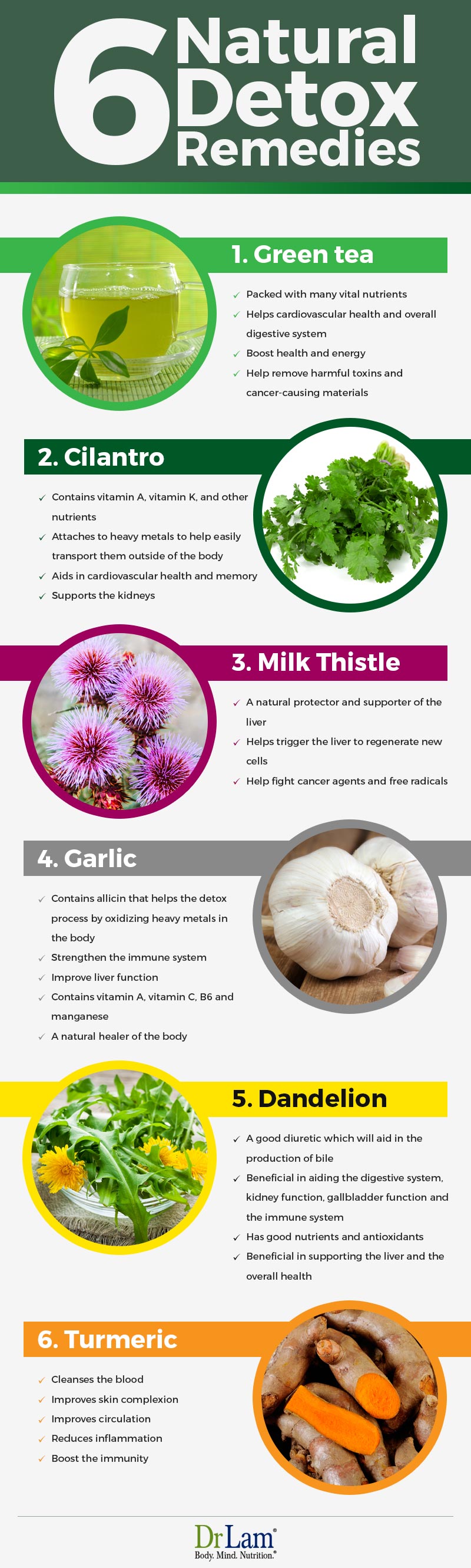 Check out this easy to understand infographic about 6 ingredients to detox your body naturally.
