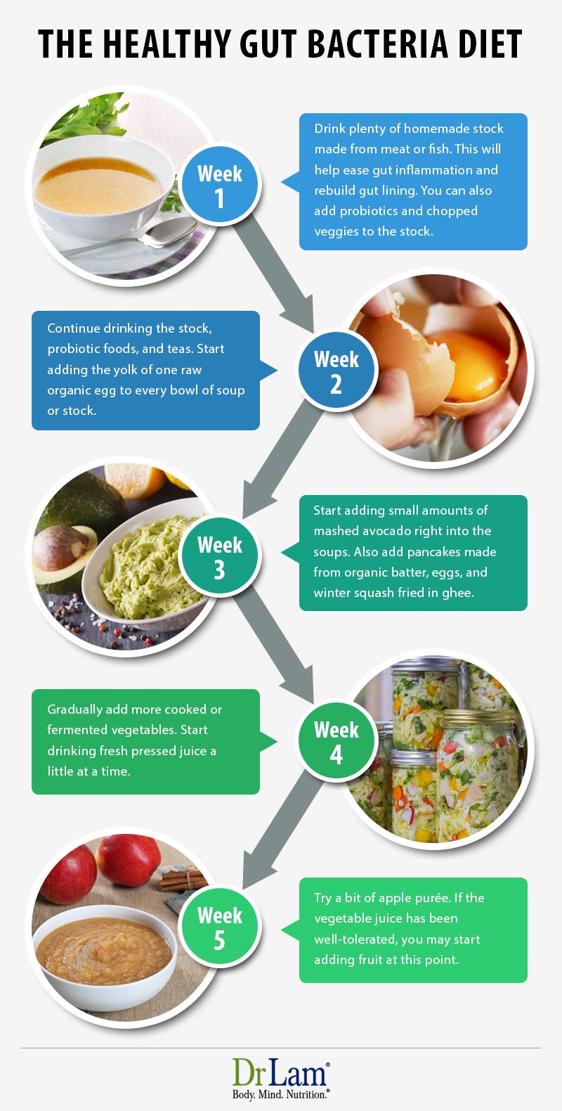 Check out this easy to understand infographic about the healthy gut bacteria diet