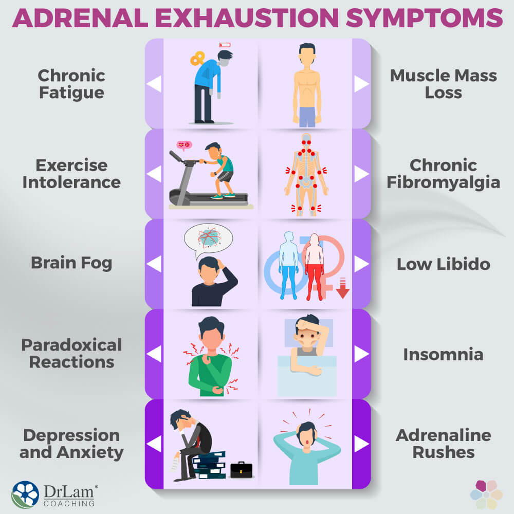 Adrenal Exhaustion Symptoms