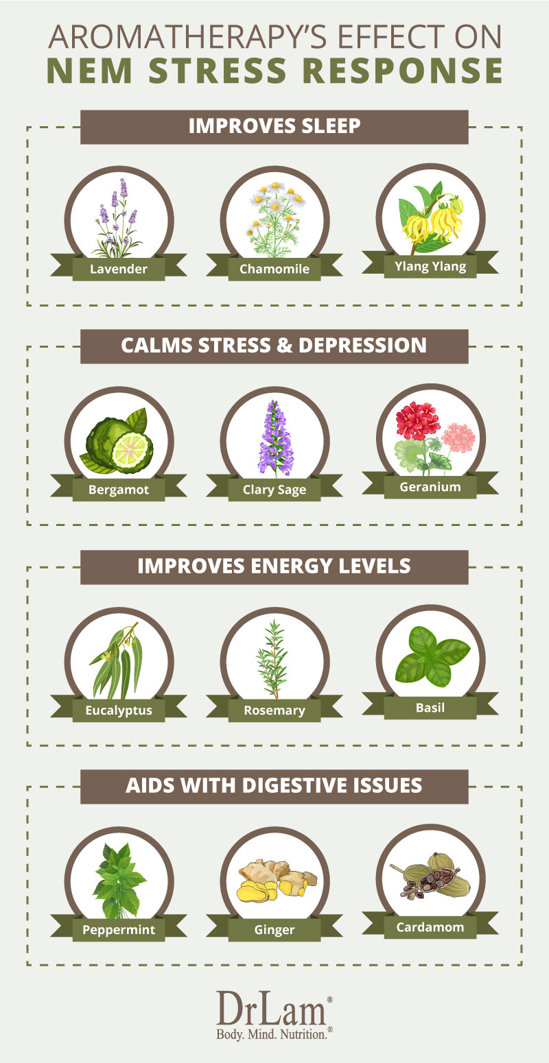 Check out this easy to understand infographic about aromatherapy benefits for NEM stress response