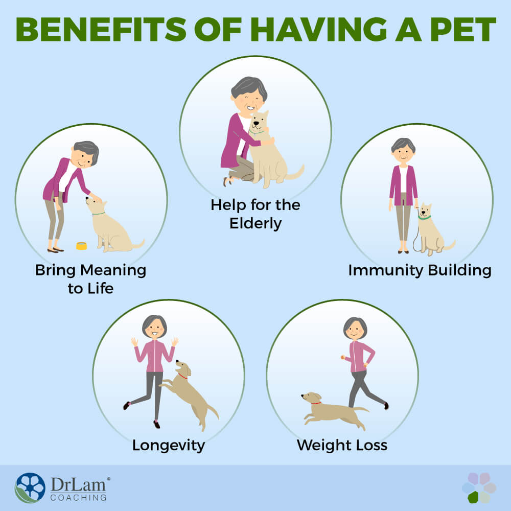 Benefits of Having a Pet