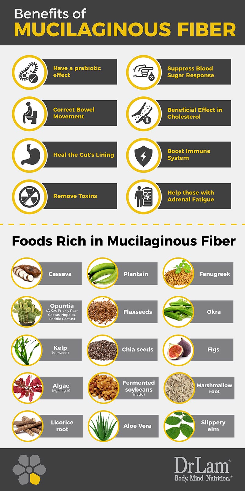 Check out this easy to understand infographic about the benefits of mucilaginous fiber