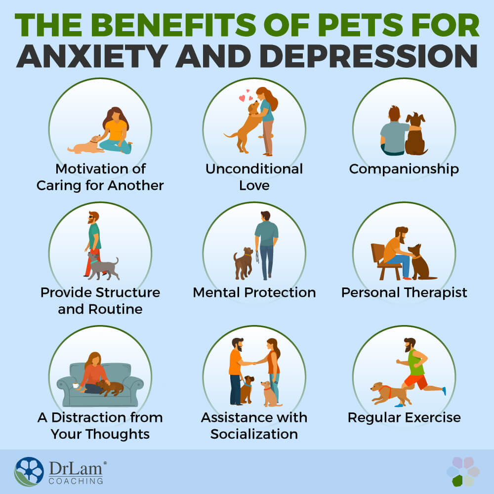 The Benefits of Pets for Anxiety and Depression