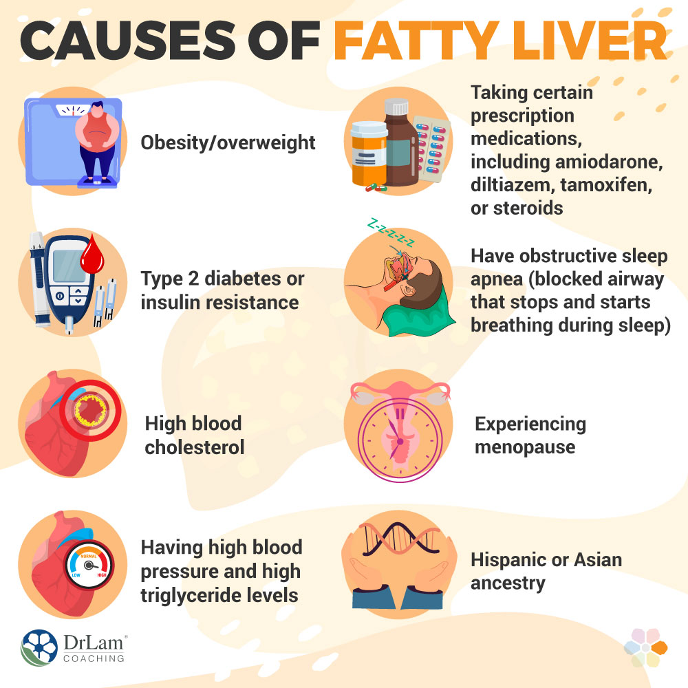 Causes of Fatty Liver Disease
