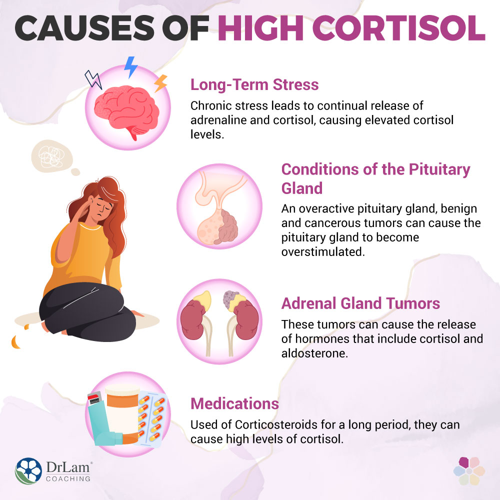 Causes of High Cortisol