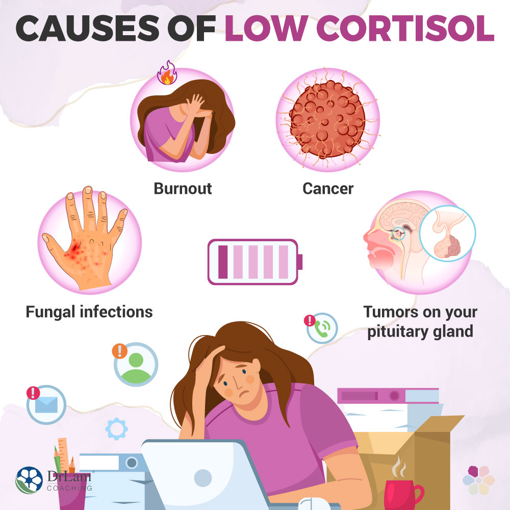 Causes of Low Cortisol