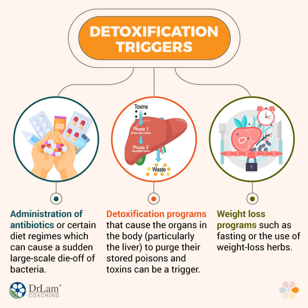 Detoxification Triggers
