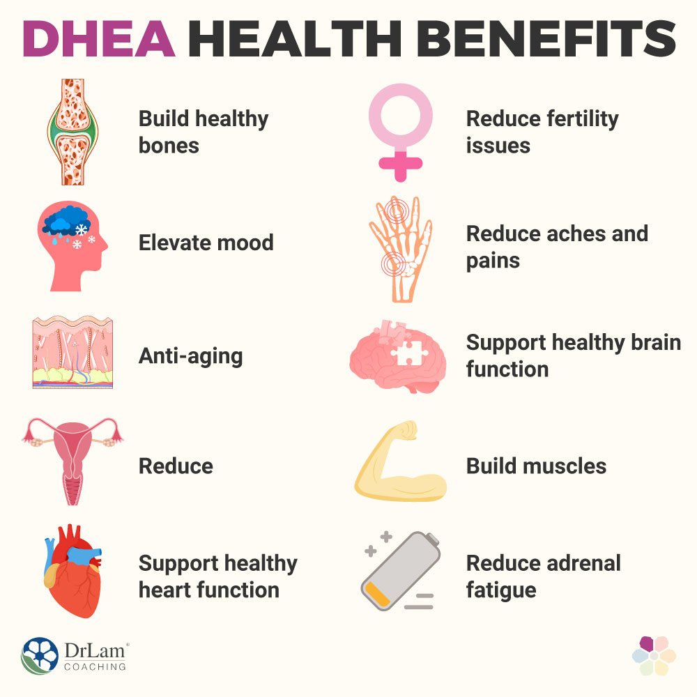 DHEA Health Benefits