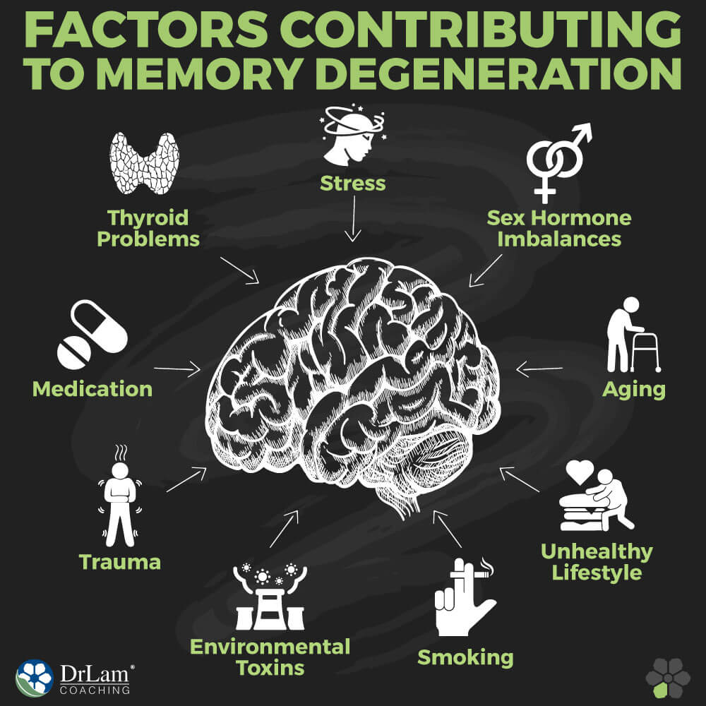 Factors Contributing to Memory Degeneration