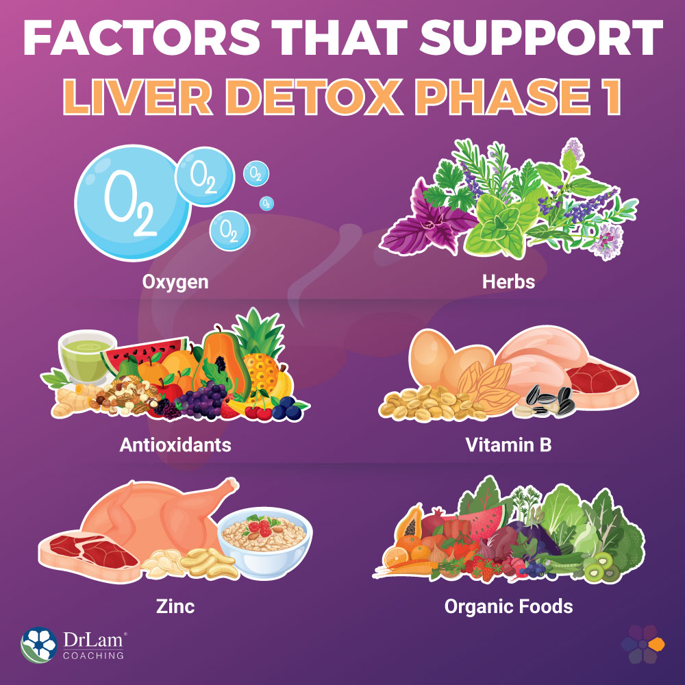 Factors that Support Liver Detox Phase 1