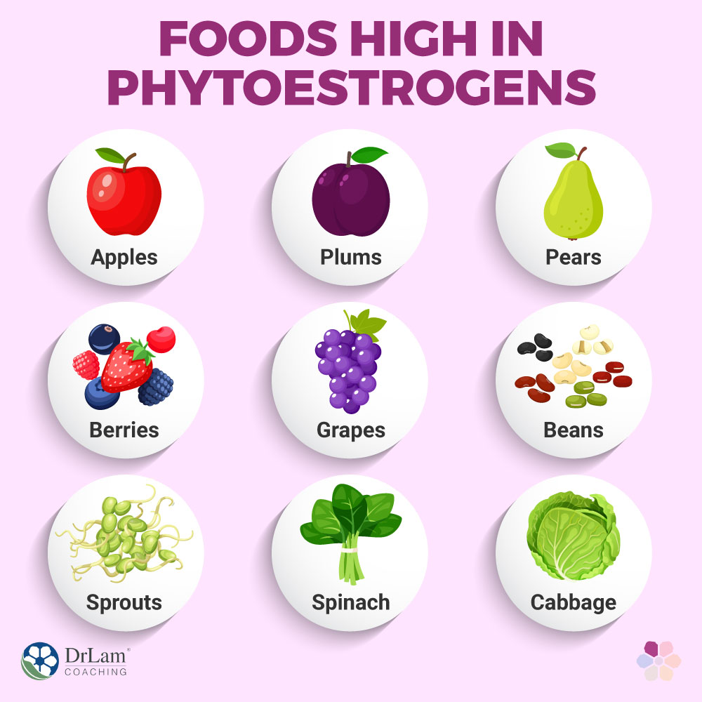 Foods High in Phytoestrogens