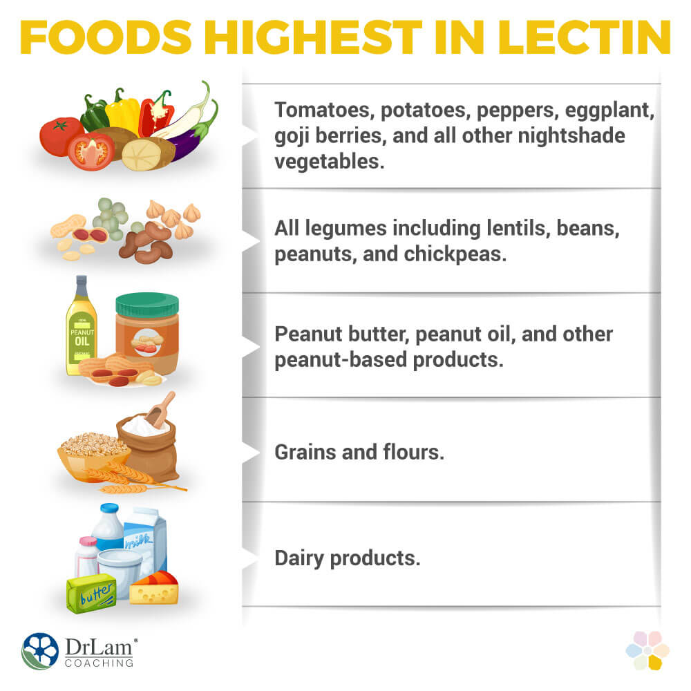 Foods Highest in Lectin