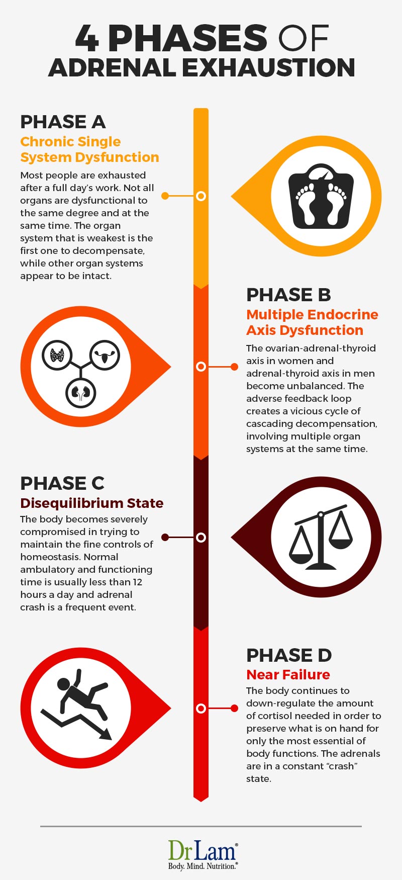 Check out this easy to understand infographic about the 4 phases of Adrenal Exhaustion
