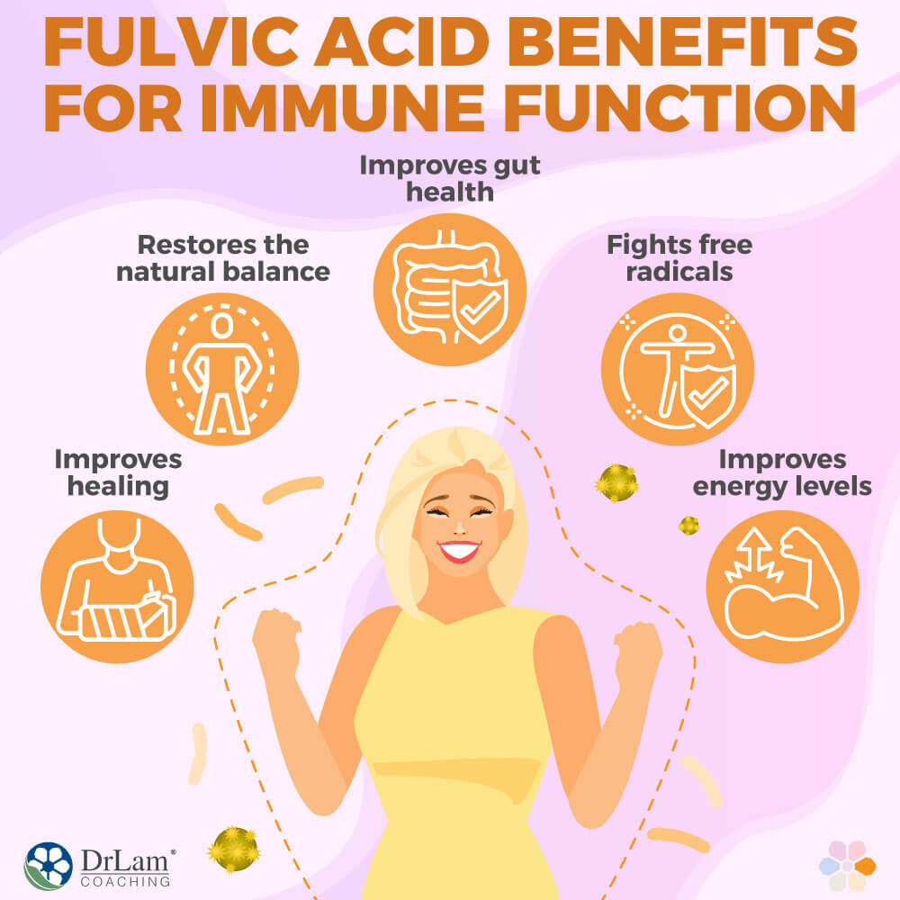 Fulvic Acid Benefits for Immune Function