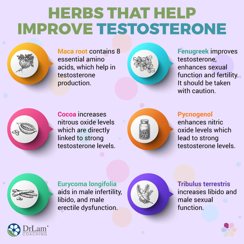 Herbs That Help Improve Testosterone