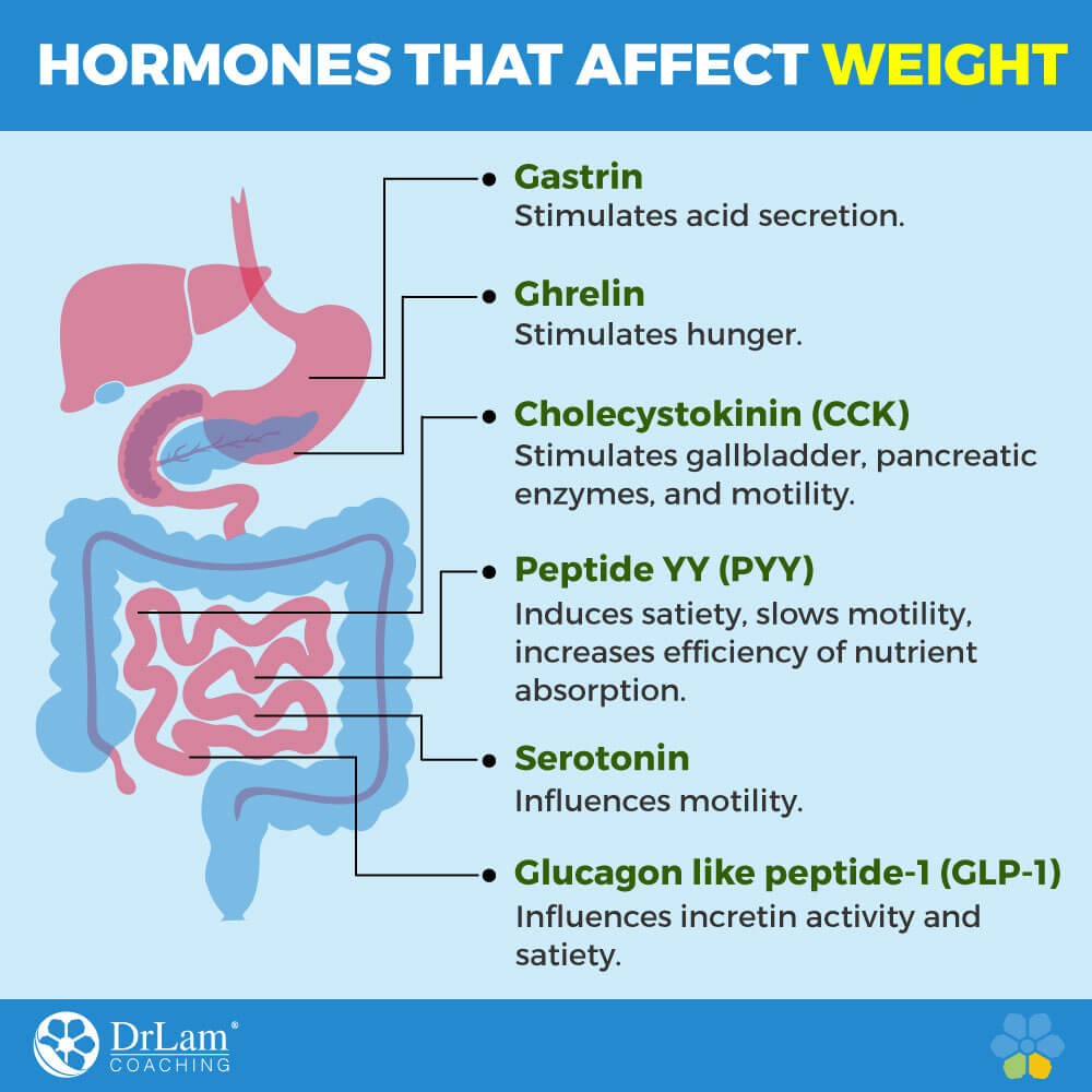 Hormones that Affect Weight