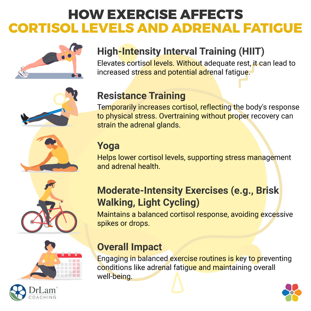 How Exercise Affects Cortisol Levels and Adrenal Fatigue