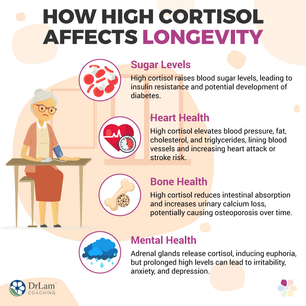 How High Cortisol Affects Longevity