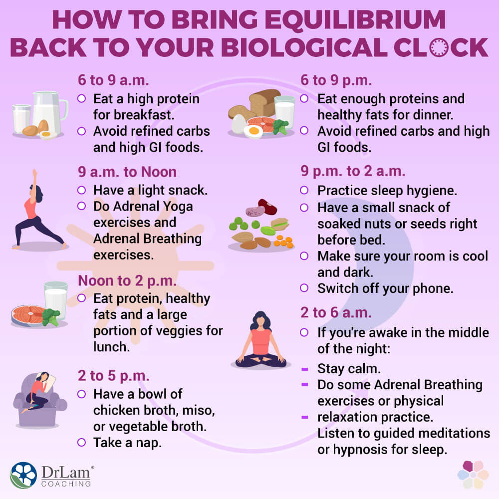 How to Bring Equilibrium Back to Your Biological Clock 