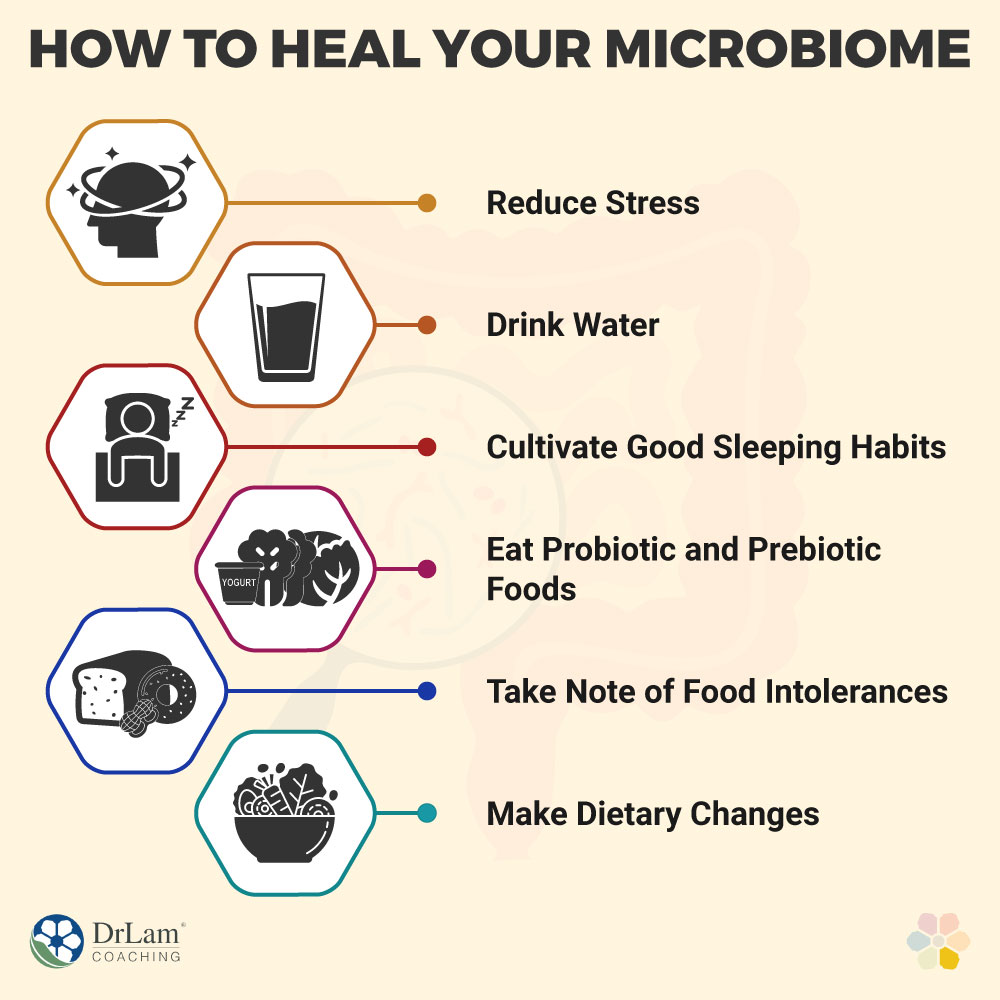 How to Heal Your Microbiome