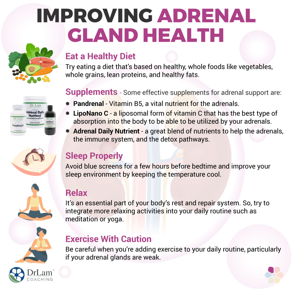Improving Adrenal Gland Health