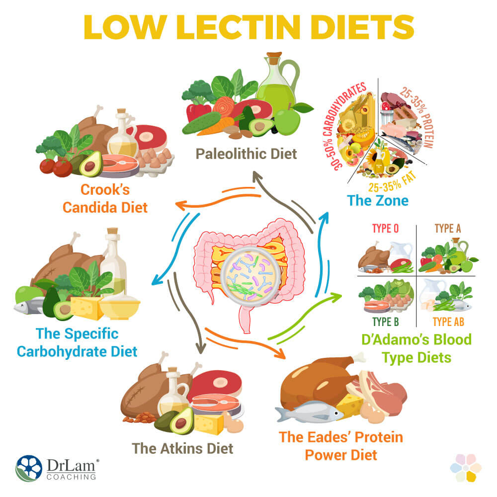 Low Lectin Diets