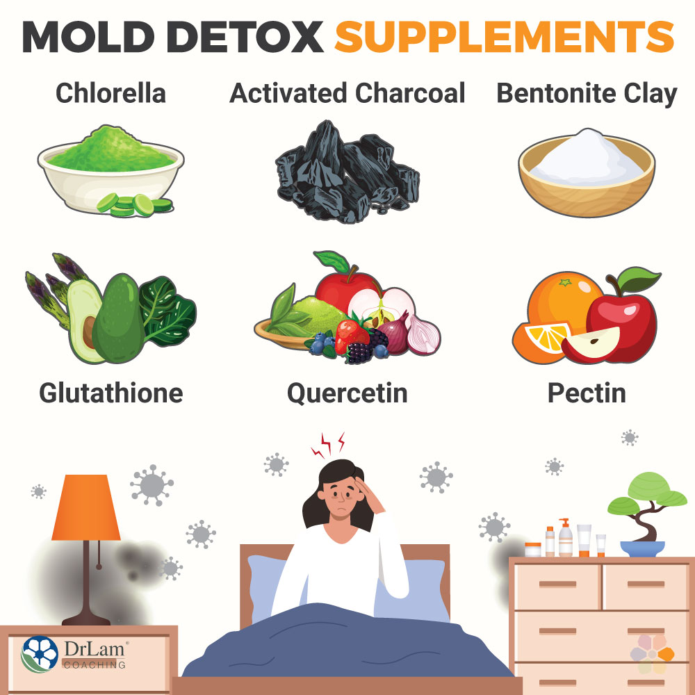 Mold Detox Supplements