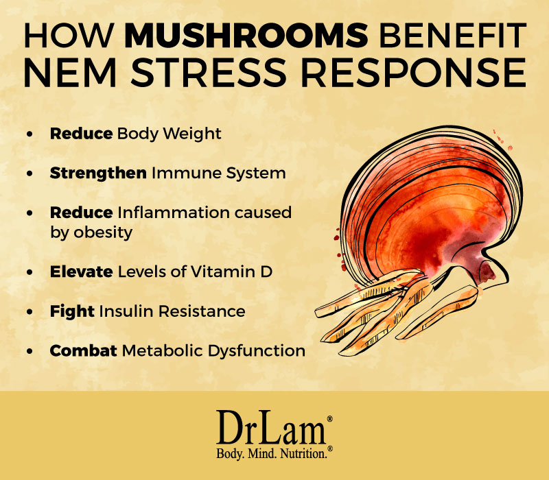 Check out this easy to understand infographic about mushroom nutritional benefits for NEM stress response