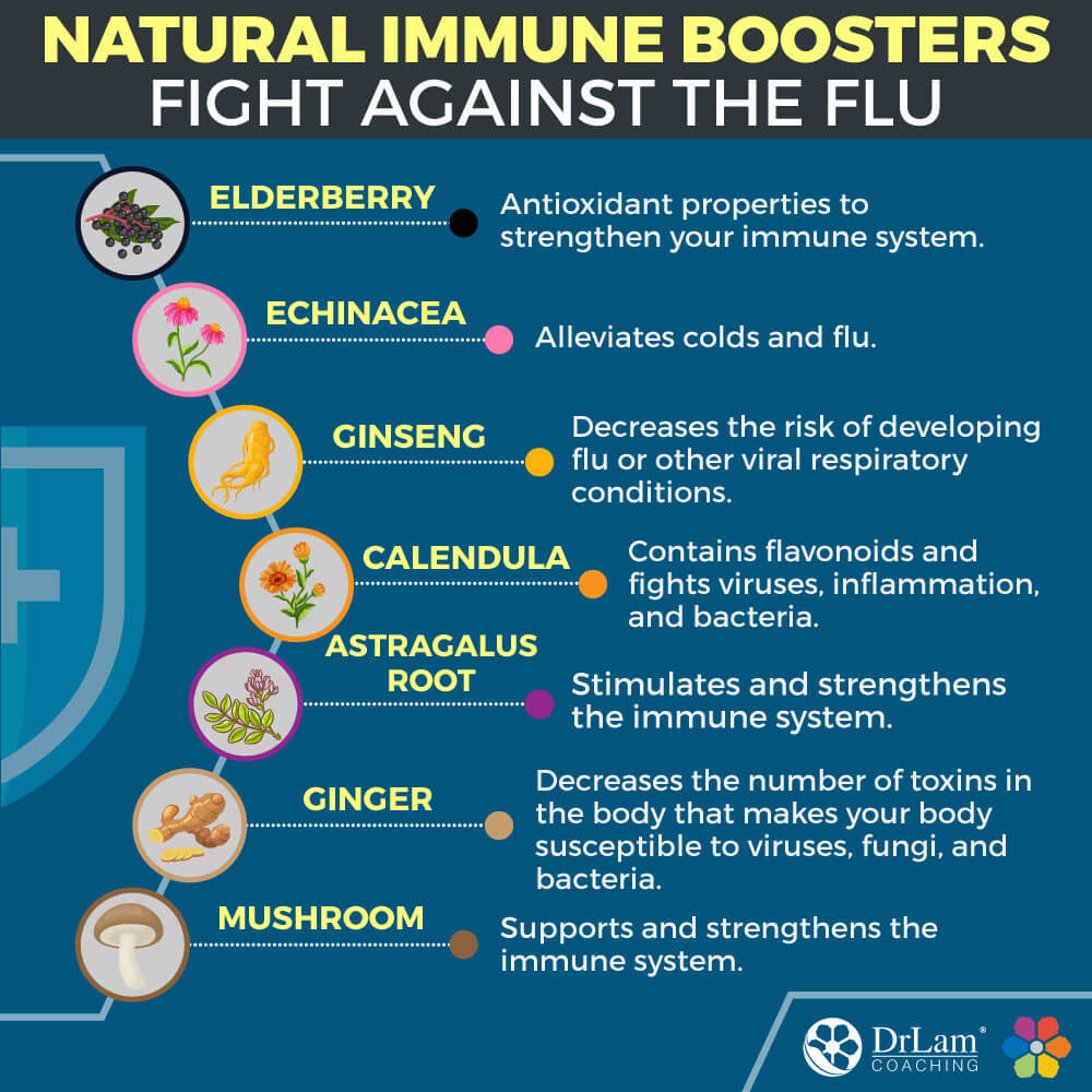 Natural Immune Boosters Fight Against the Flu
