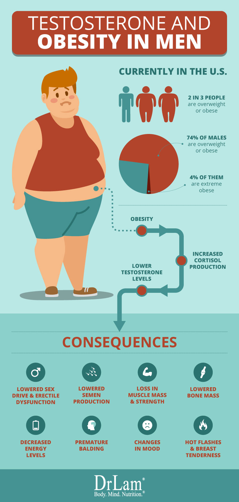 Check out this easy to understand infographic about the testosterone concerns in Obese men