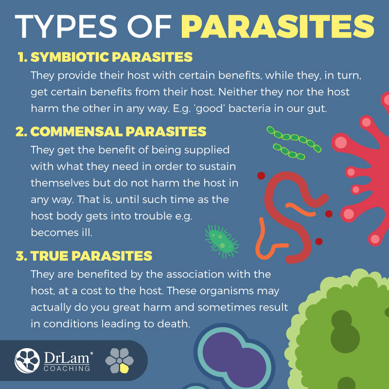 Check out this easy to understand infographic about types of parasites and the key to longevity