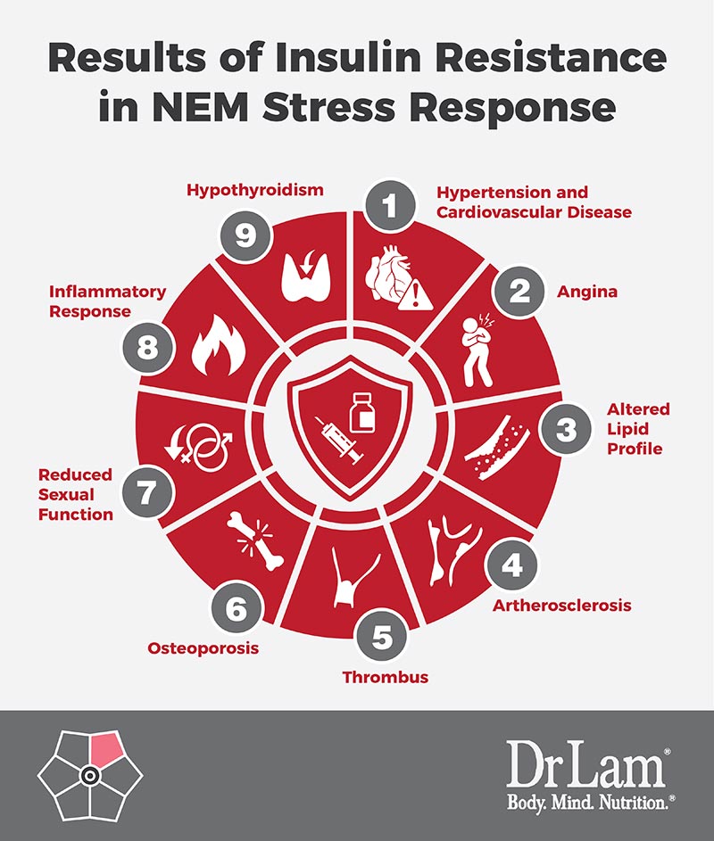 Check out this easy to understand infographic about the results of insulin resistance in NEM Stress Response