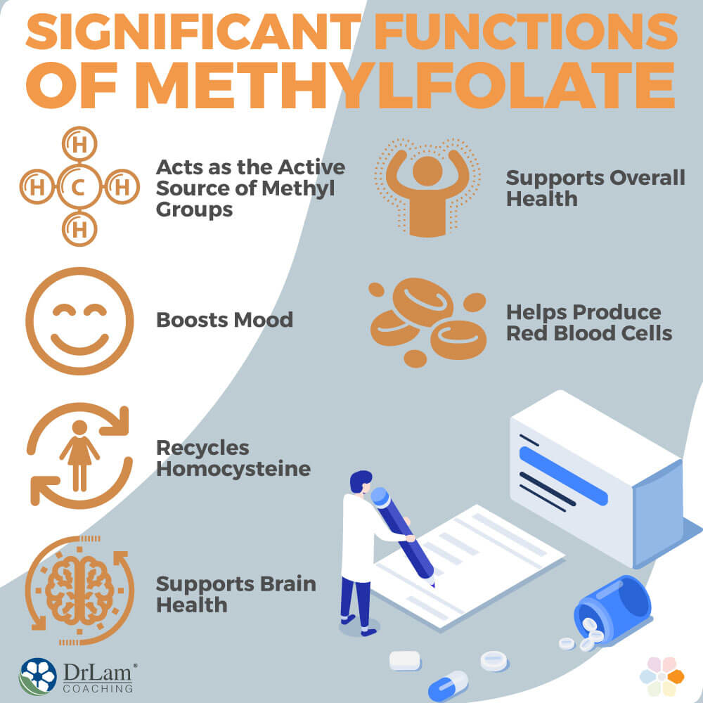 Significant Functions of Methylfolate