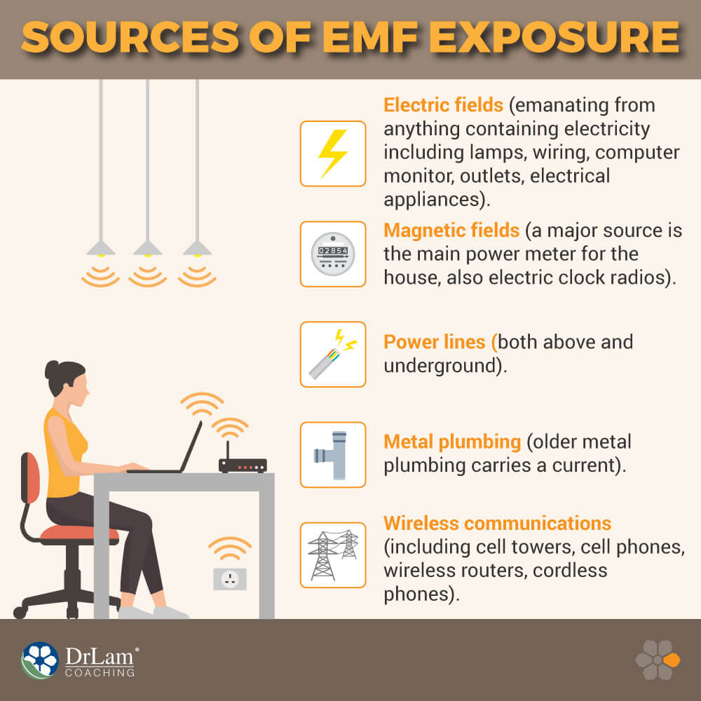 Sources of EMF Exposure