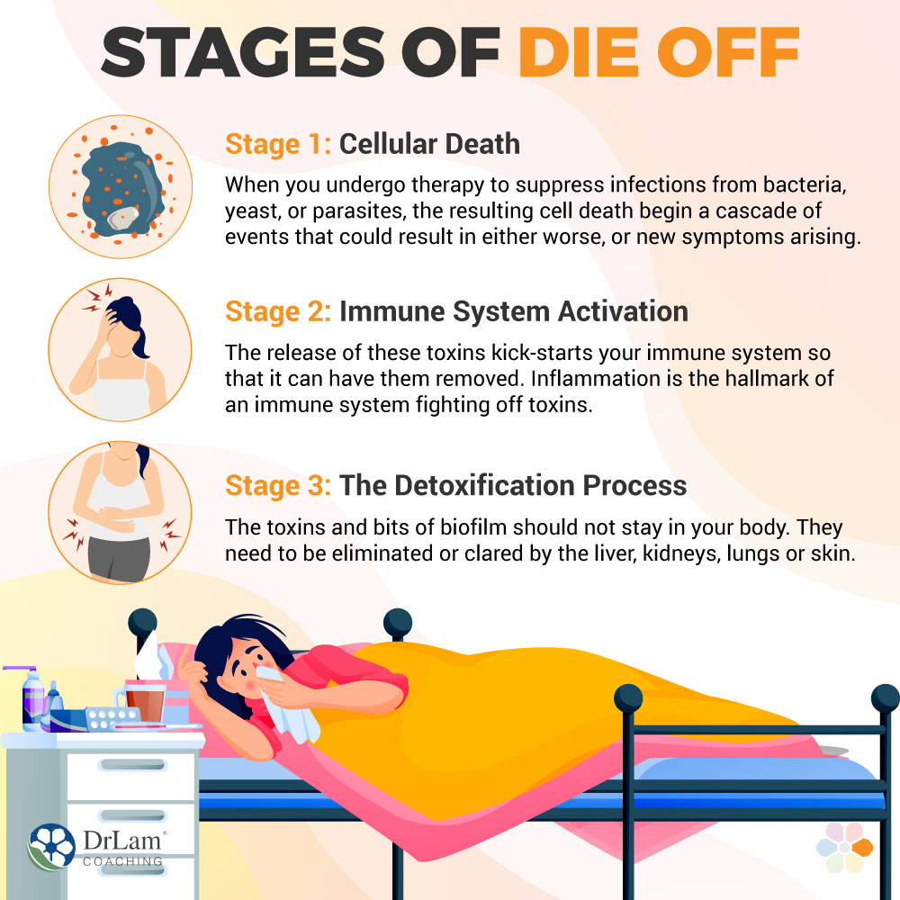 Stages of Die Off