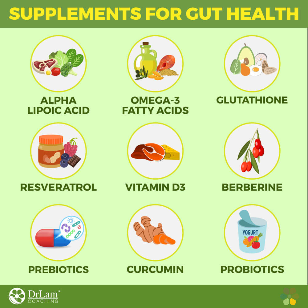 Supplements for Gut Health