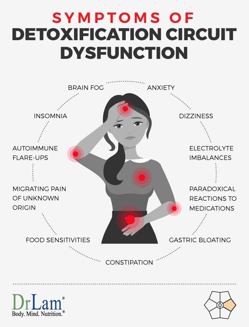 Check out this easy to understand infographic about the symptoms of Detoxification Circuit Dysfunction