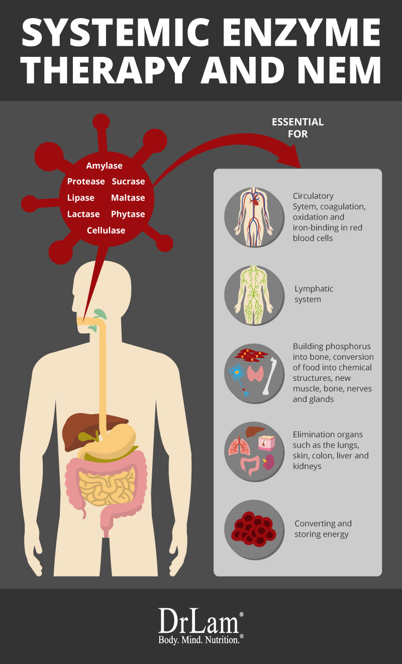 Check out this easy to understand infographic about systemic enzyme therapy and NEM