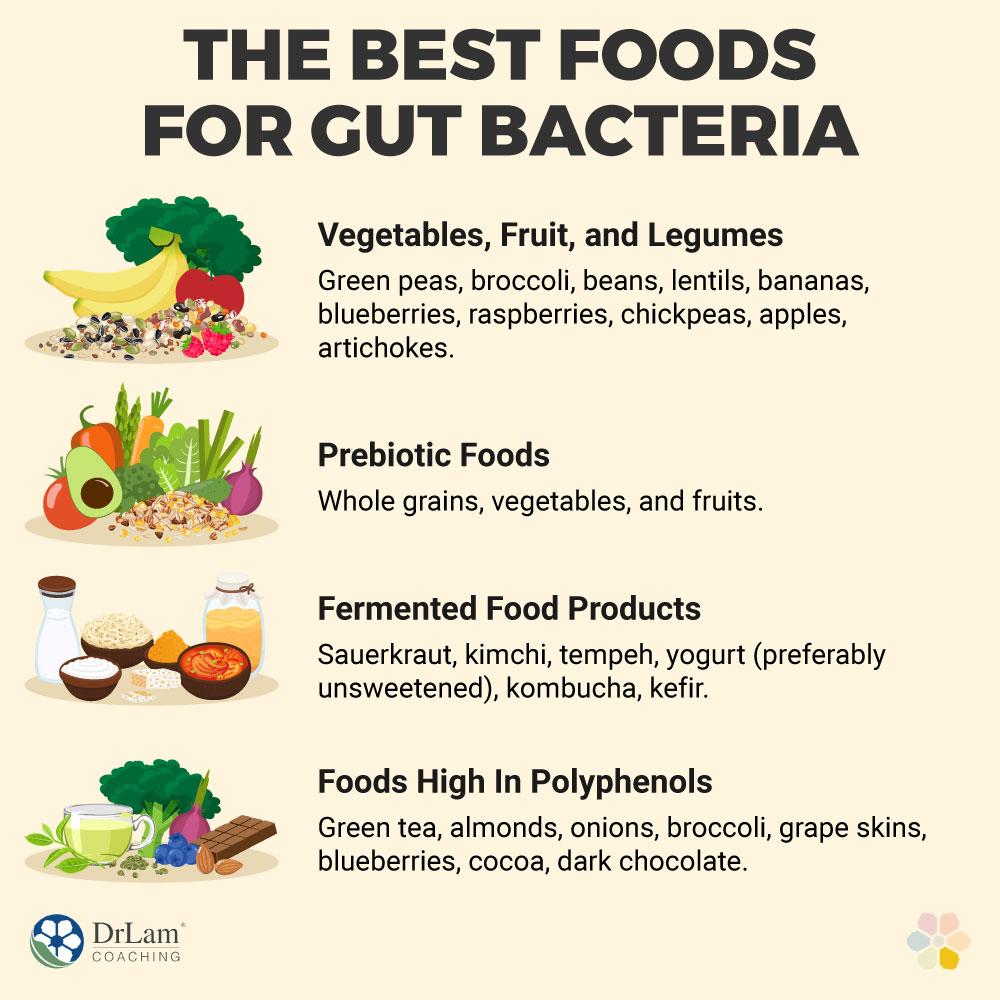 The Best Foods for Gut Bacteria
