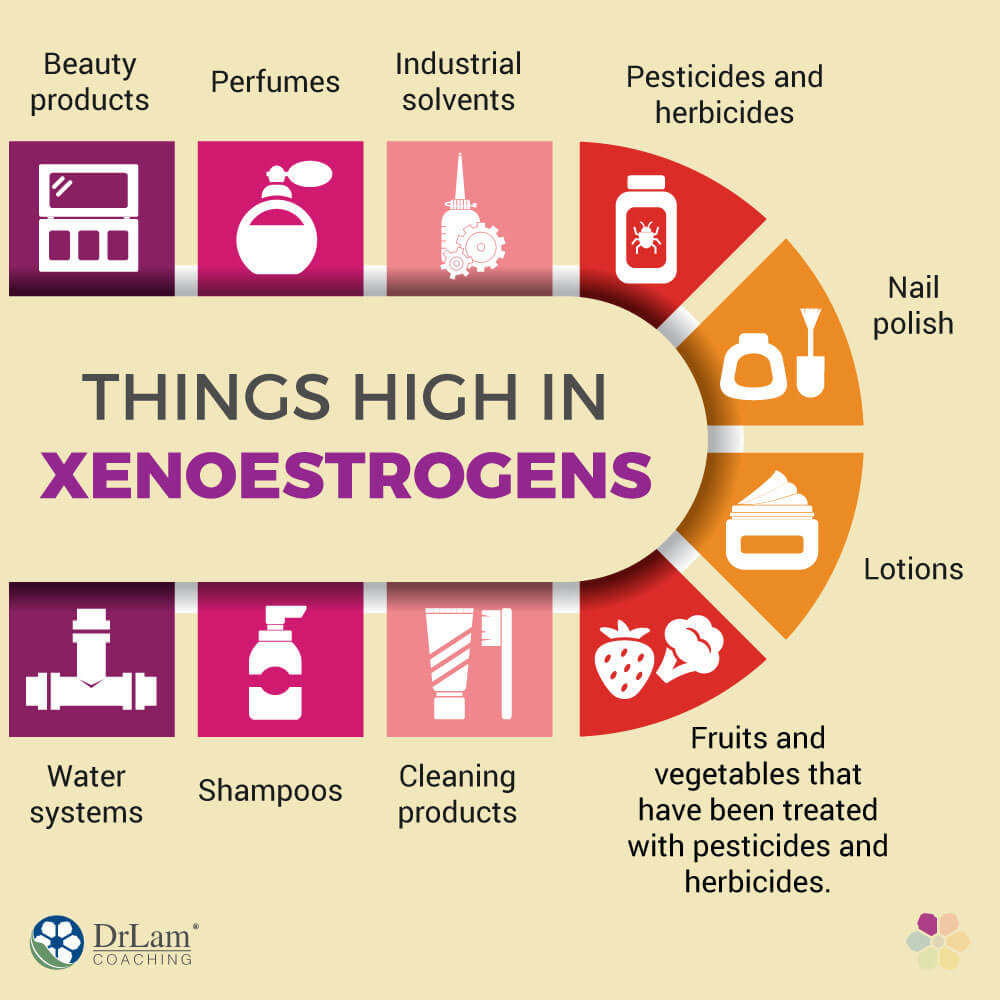Things High in Xenoestrogens