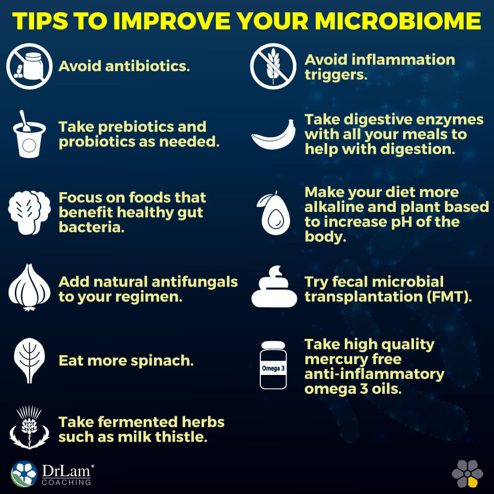 Tips to Improve Your Microbiome