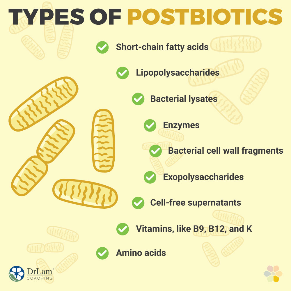 4 ResearchSupported Health Benefits of Postbiotics