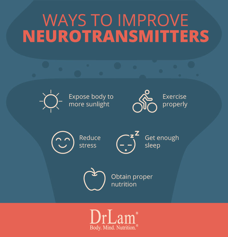 Check out this easy to understand infographic about the ways to improve neurotransmitters