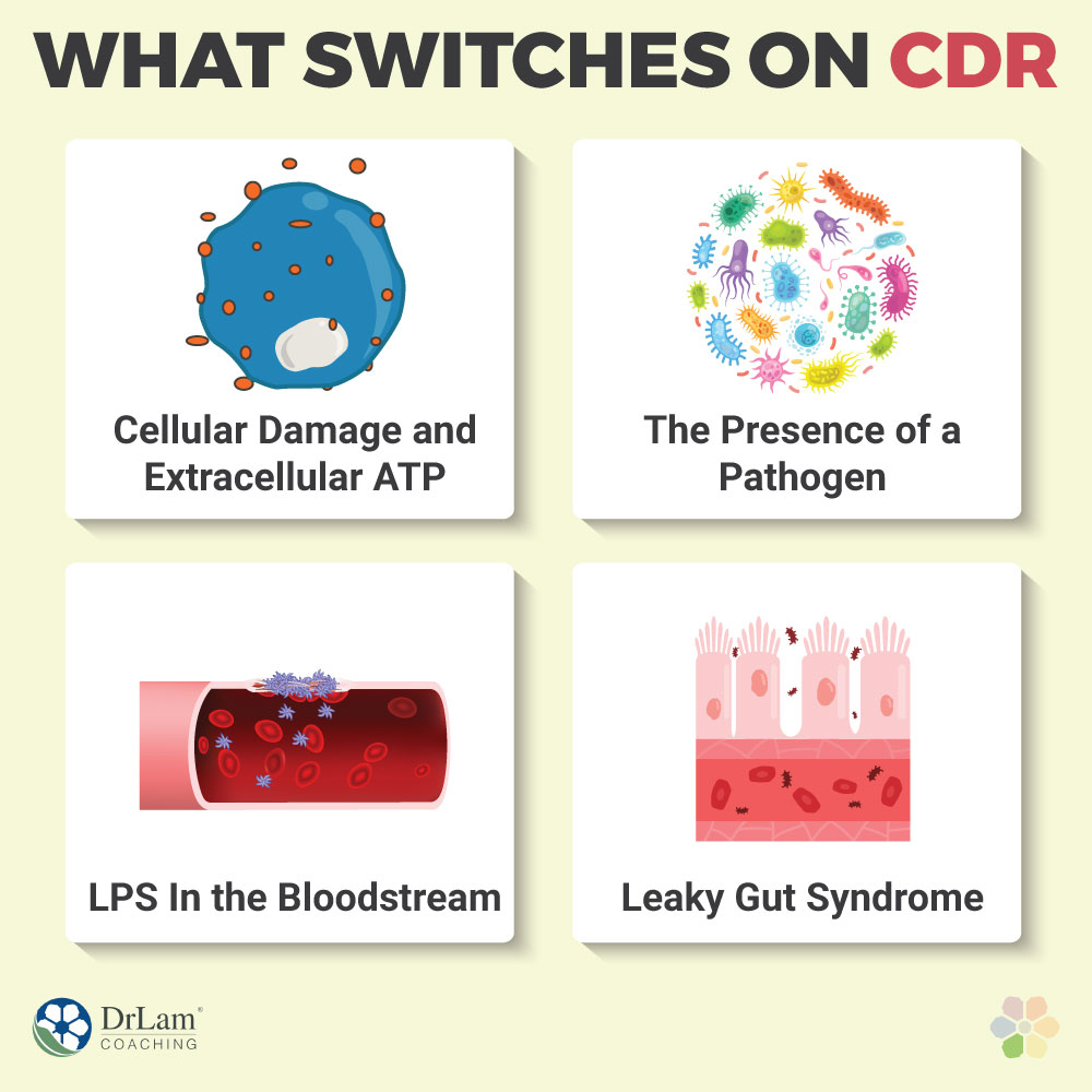 What Switches on CDR