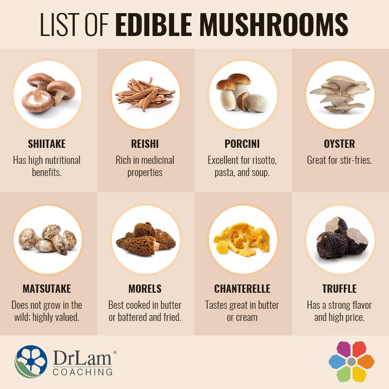 Check out this easy to understand infographic about the benefits of eating mushrooms