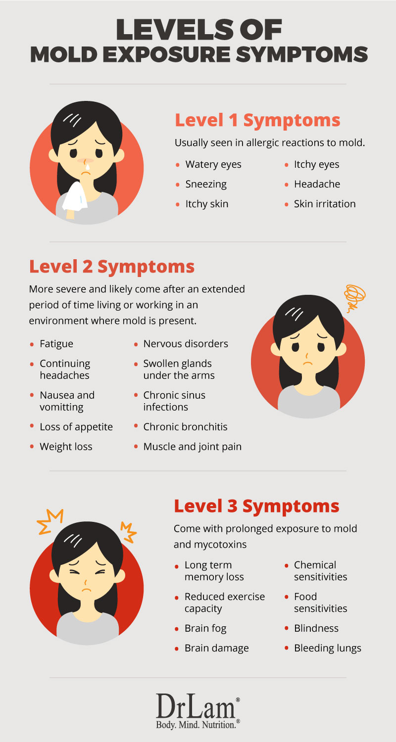Check out this easy to understand infographic about mold exposure symptoms