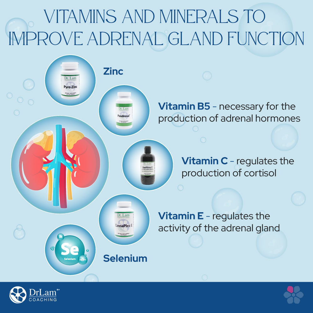 Adrenal Gland Function Adrenal Disorders and Tips to Heal