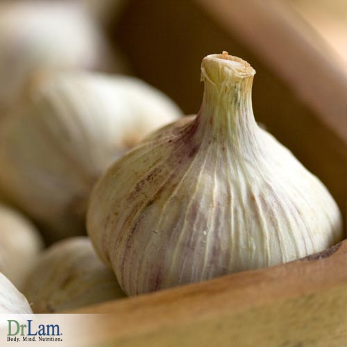 Benefits of Garlic root