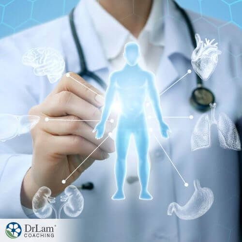 An image of a doctor highlighting a person and their organs